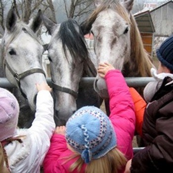 Warten aufs Christkind